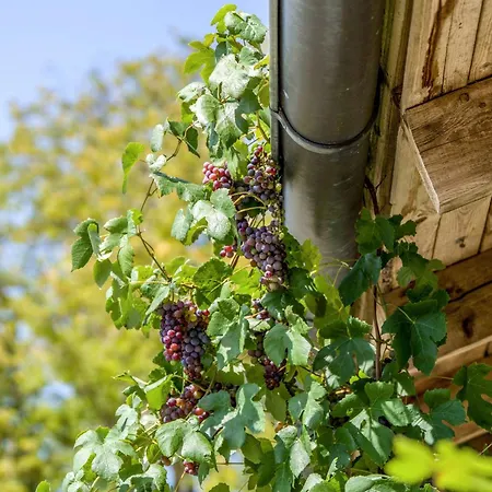 Ferienhaus Häuschen Blaues Pferd Wallerfing