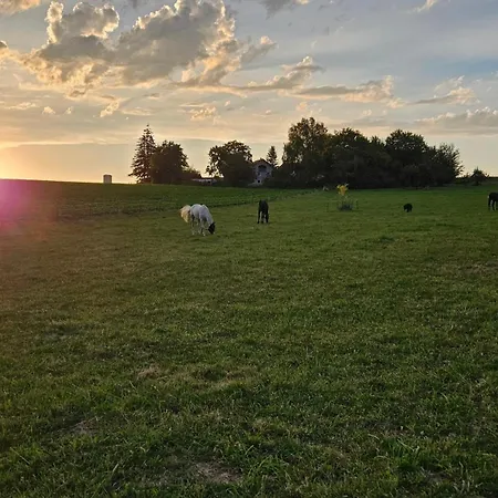 Häuschen Blaues Pferd Ferienhaus Wallerfing